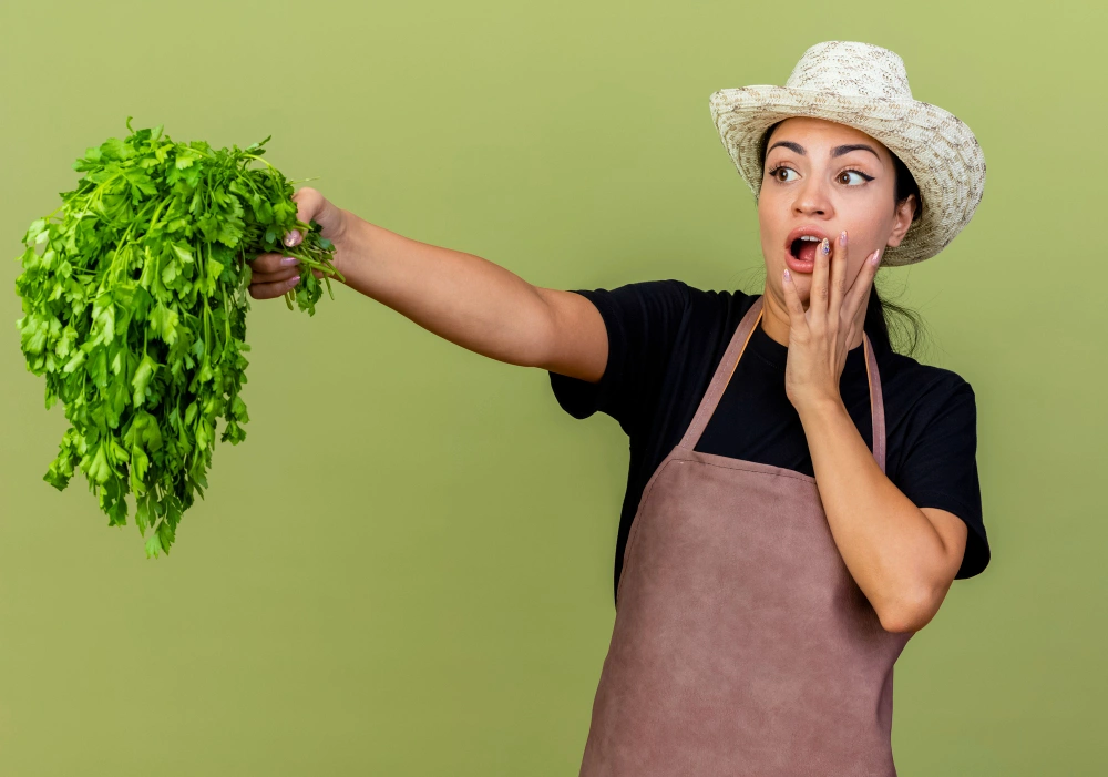 how to store fresh herbs to keep them fresh longer, best way to store basil, keep cilantro fresh in fridge, herb storage methods 2026, prevent herbs from wilting, Sarah Jenkins food preservation tips