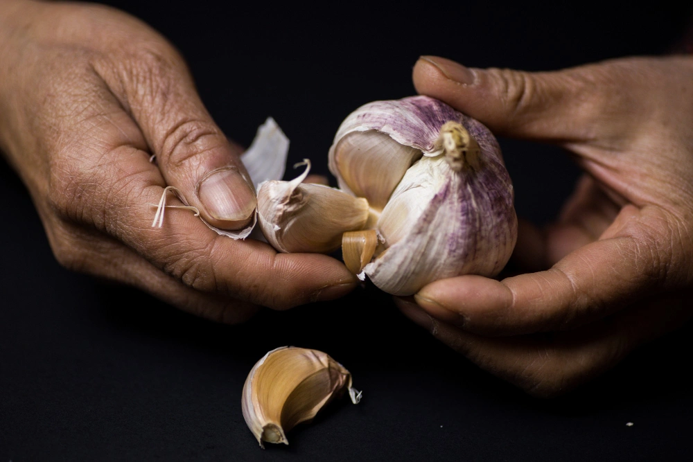 how to keep garlic fresh longer, garlic storage hacks 2026, best way to store garlic, keep garlic from sprouting, store peeled garlic, Sarah Jenkins food preservation tips.